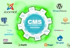 What-is-cms